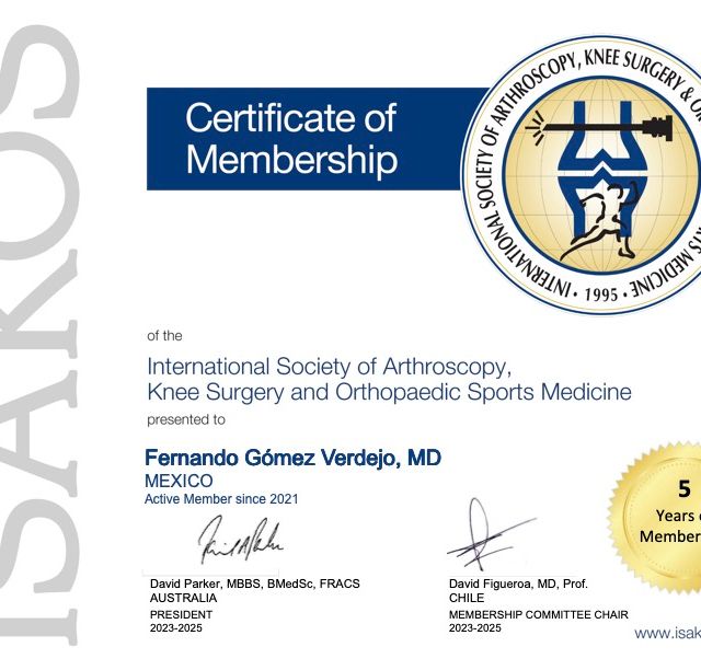 Ampliar imagen: certificate 3