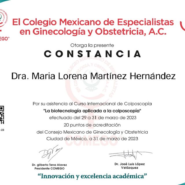 Ampliar imagen: certificate 11