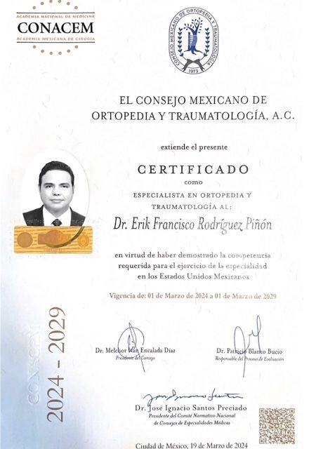 Ampliar imagen: certificate 1