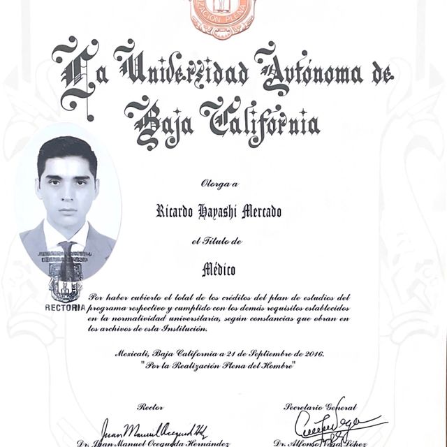 Ampliar imagen: certificate 7