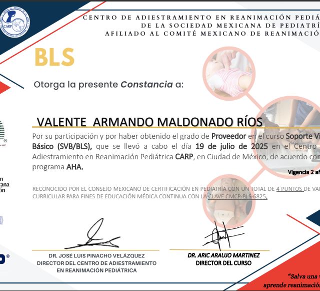 Ampliar imagen: certificate 22