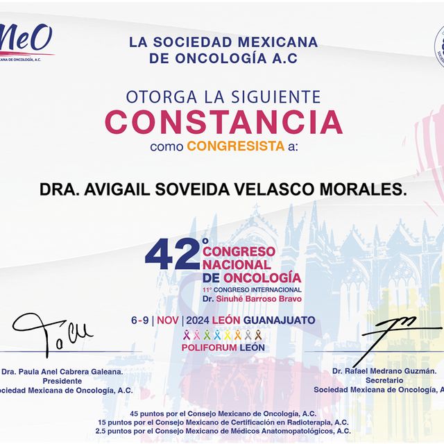 Ampliar imagen: certificate 4