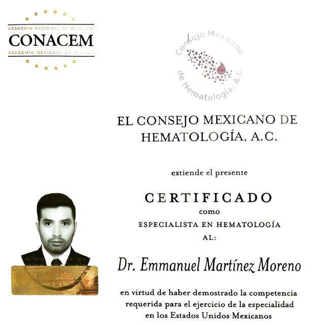 Ampliar imagen: certificate 2