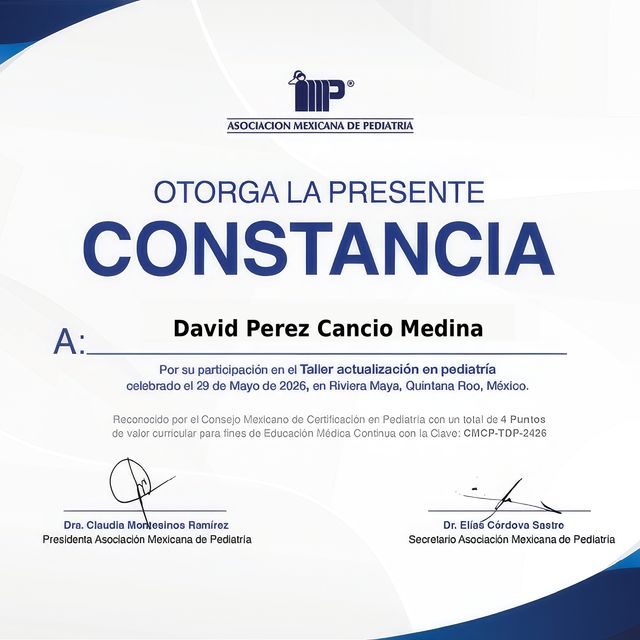 Ampliar imagen: certificate 13