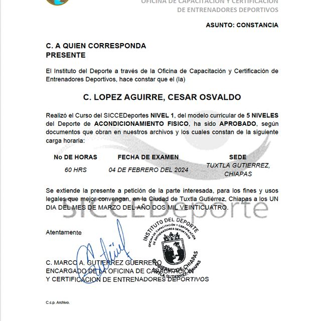 Ampliar imagen: certificate 3