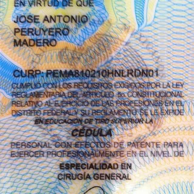 Ampliar imagen: certificate 5