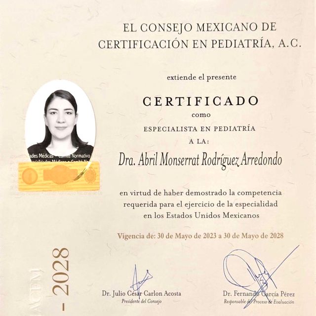 Ampliar imagen: certificate 2
