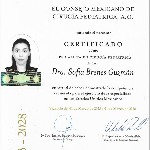 Ampliar imagen: certificate 6