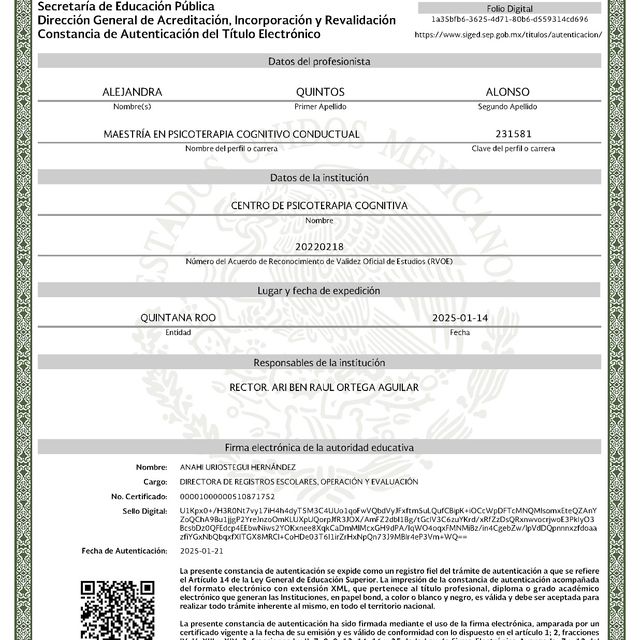 Ampliar imagen: certificate 1