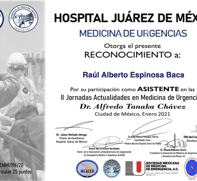 Ampliar imagen: certificate 7