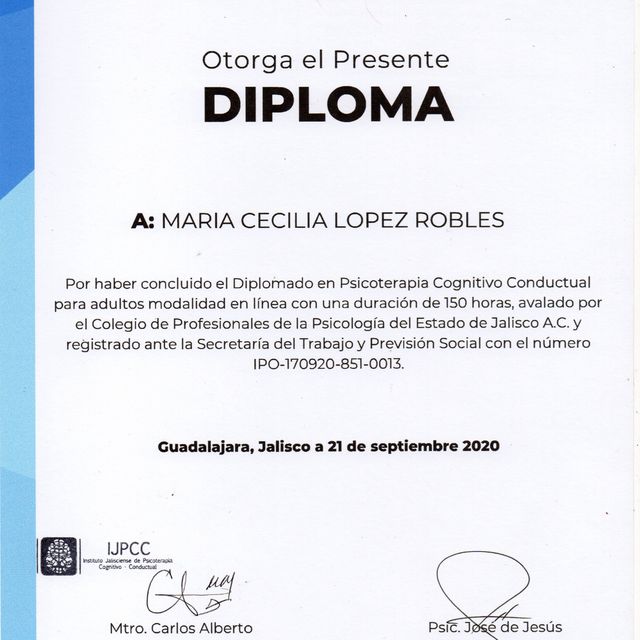 Ampliar imagen: certificate 2