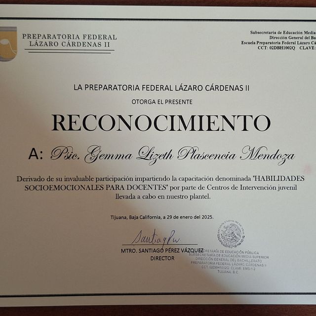 Ampliar imagen: certificate 6