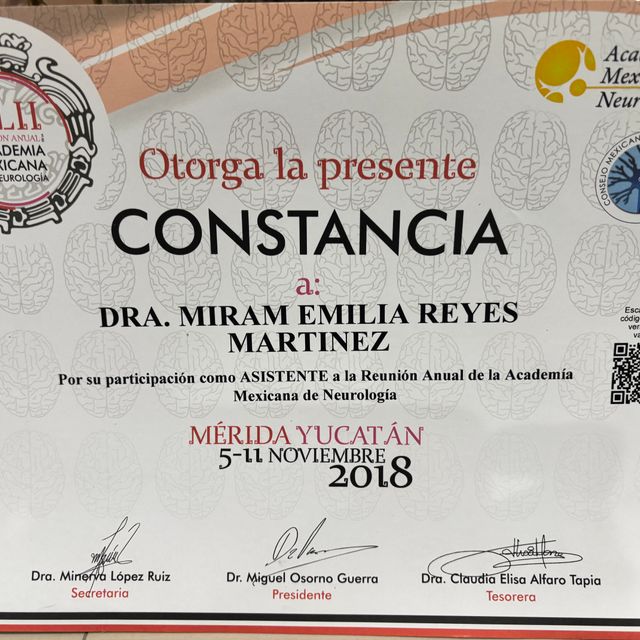 Ampliar imagen: certificate 28