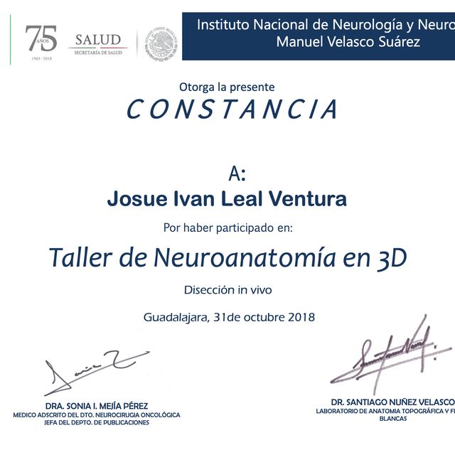 Ampliar imagen: certificate 14