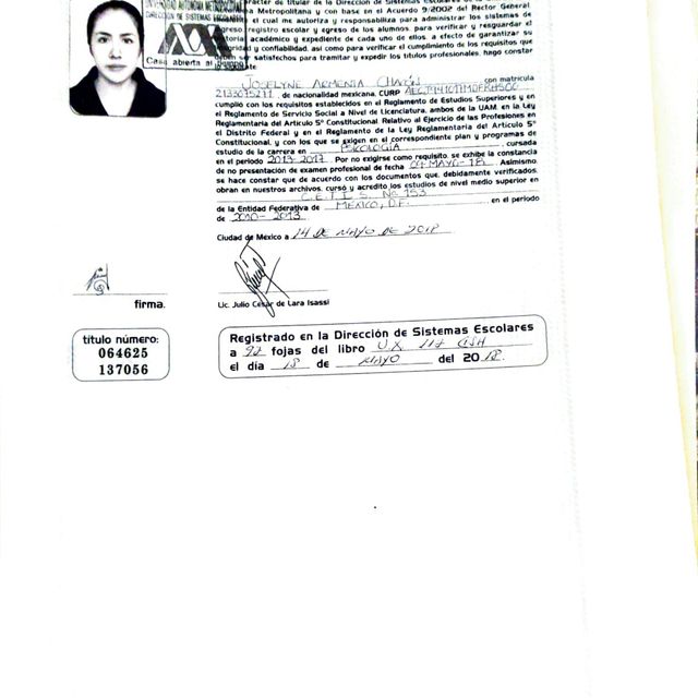 Ampliar imagen: certificate 6