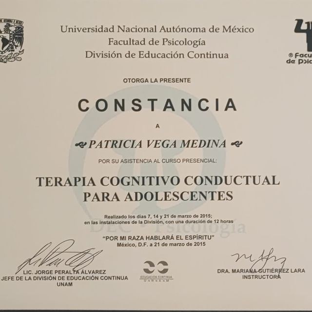 Ampliar imagen: certificate 6