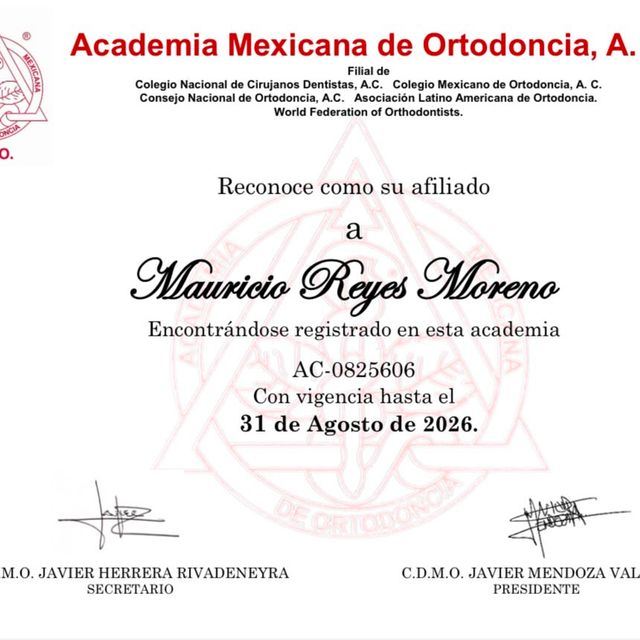 Ampliar imagen: certificate 1