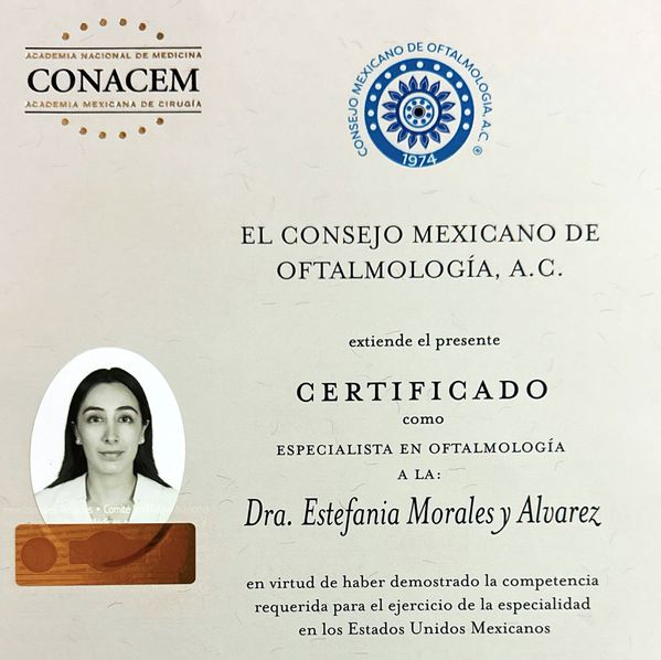 Ampliar imagen: certificate 2