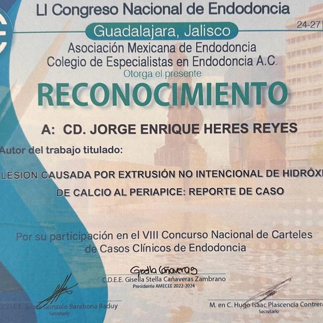 Ampliar imagen: certificate 2