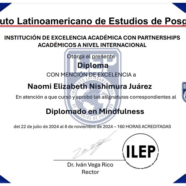 Ampliar imagen: certificate 1