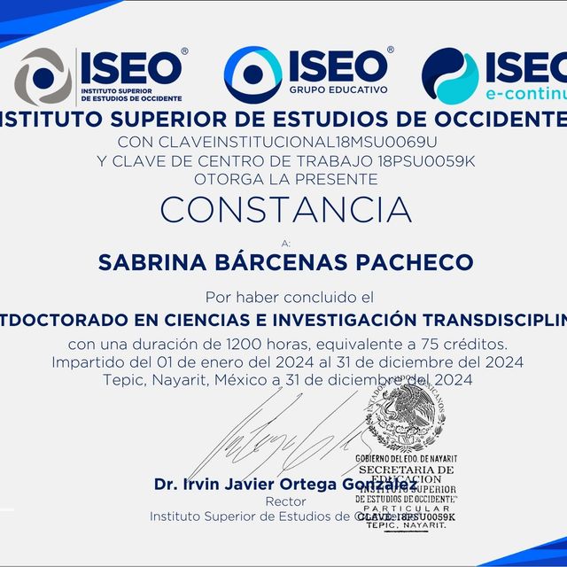 Ampliar imagen: certificate 13