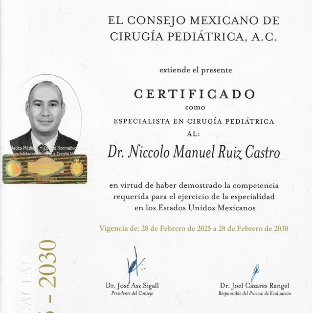Ampliar imagen: certificate 3