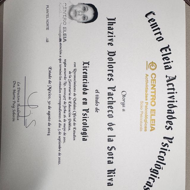 Ampliar imagen: certificate 2