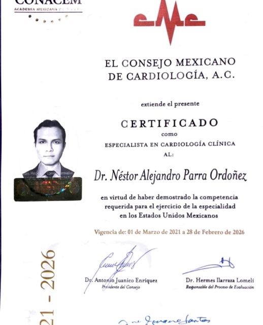 Ampliar imagen: certificate 3