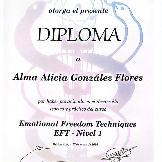 Ampliar imagen: certificate 13