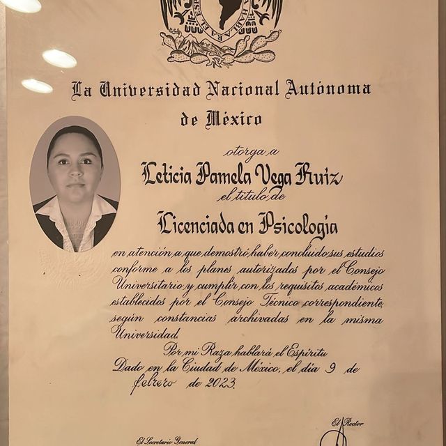 Ampliar imagen: certificate 3