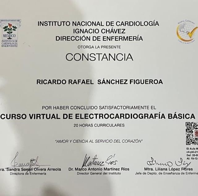 Ampliar imagen: certificate 13
