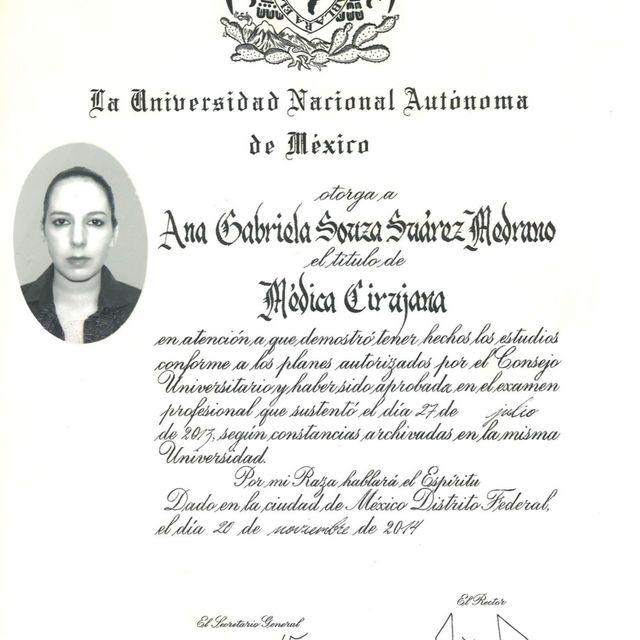 Ampliar imagen: certificate 5