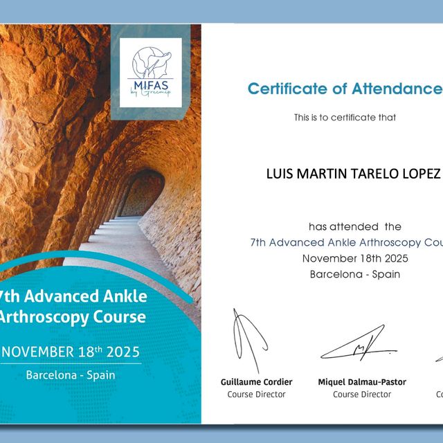 Ampliar imagen: certificate 7