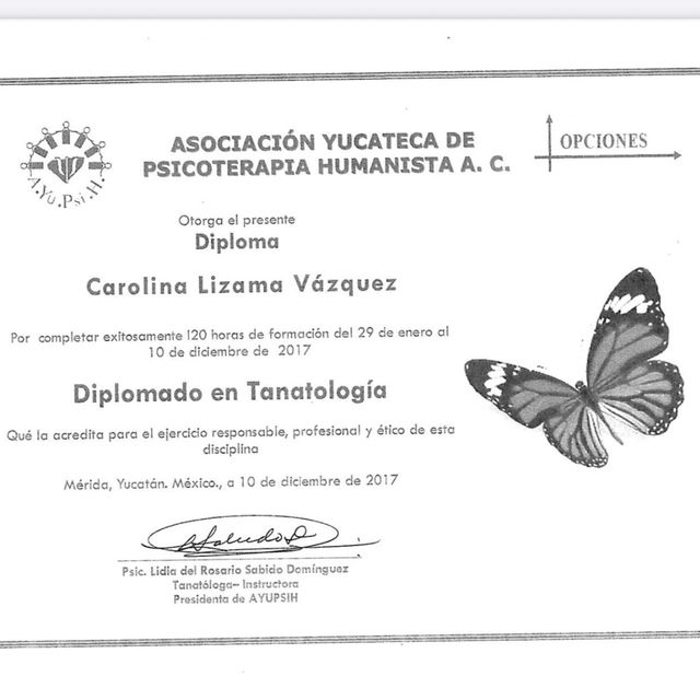 Ampliar imagen: certificate 4