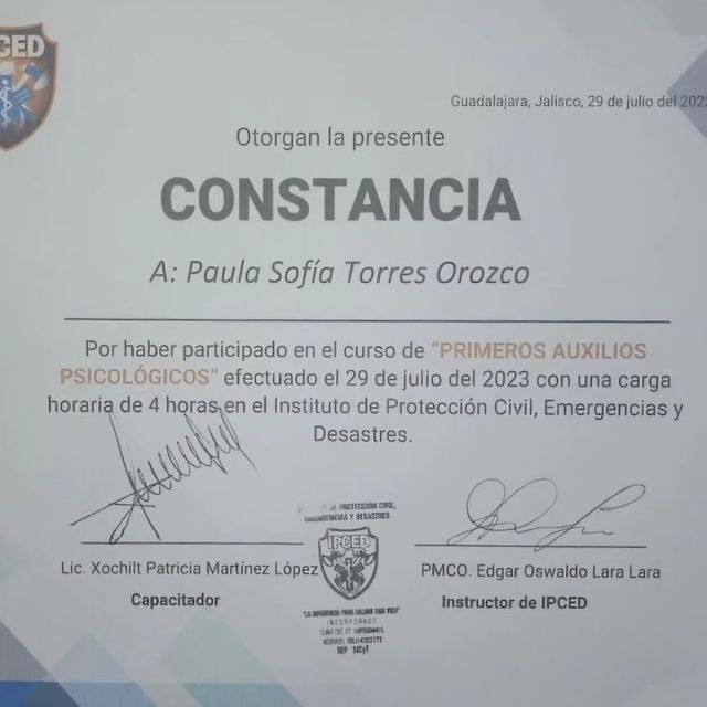 Ampliar imagen: certificate 6
