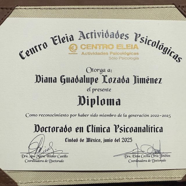 Ampliar imagen: certificate 3