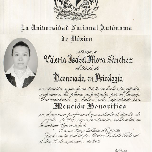 Ampliar imagen: certificate 1