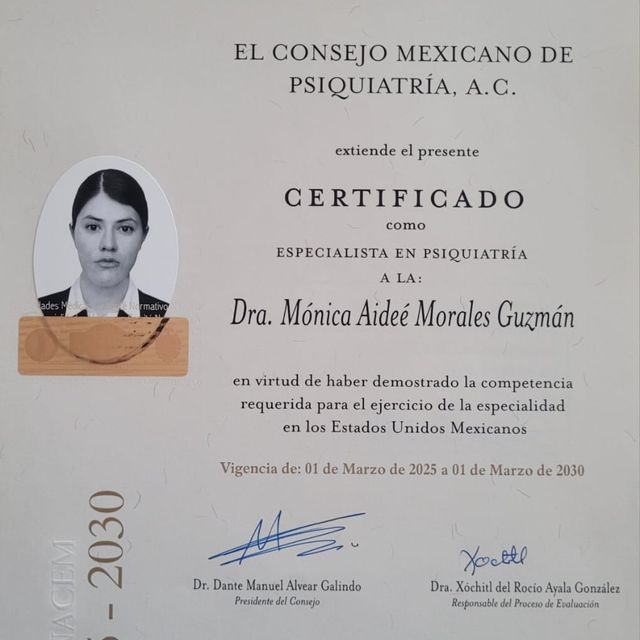 Ampliar imagen: certificate 1