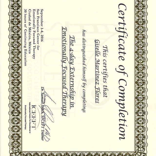 Ampliar imagen: certificate 1