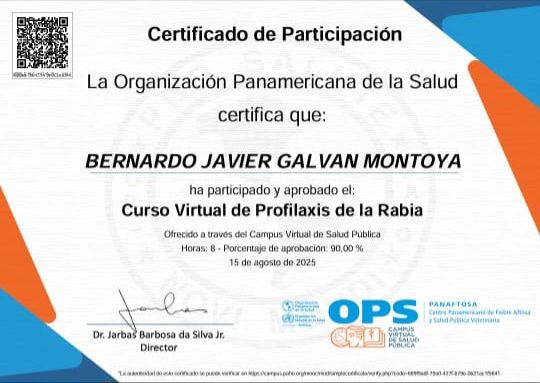 Ampliar imagen: certificate 8