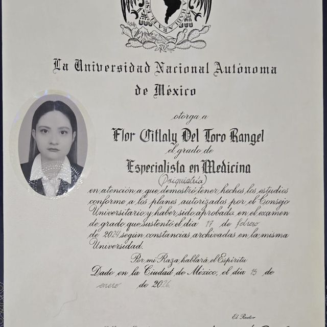 Ampliar imagen: certificate 1