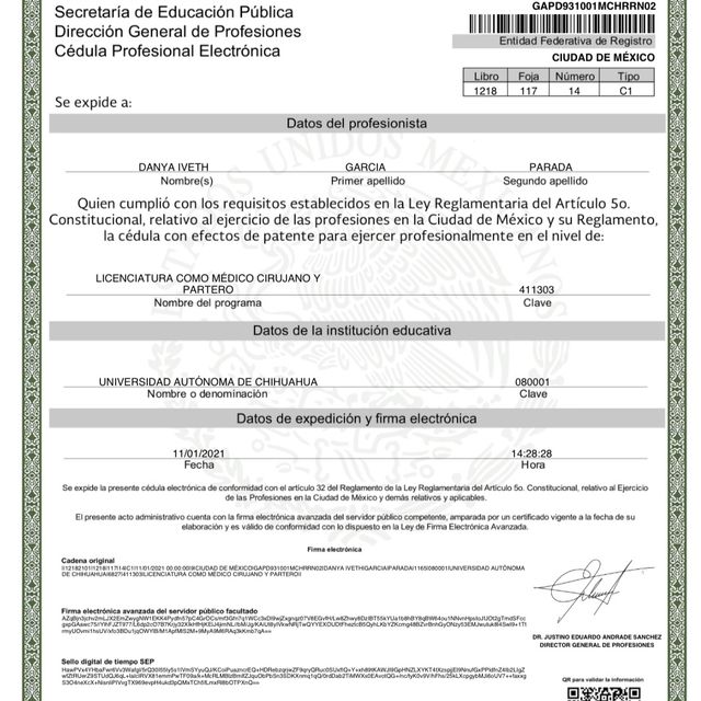 Ampliar imagen: certificate 5