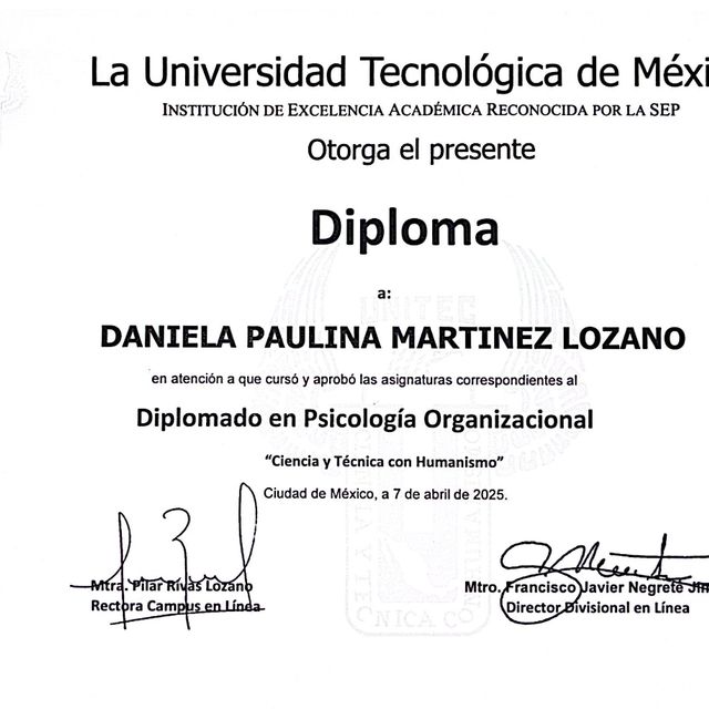 Ampliar imagen: certificate 4