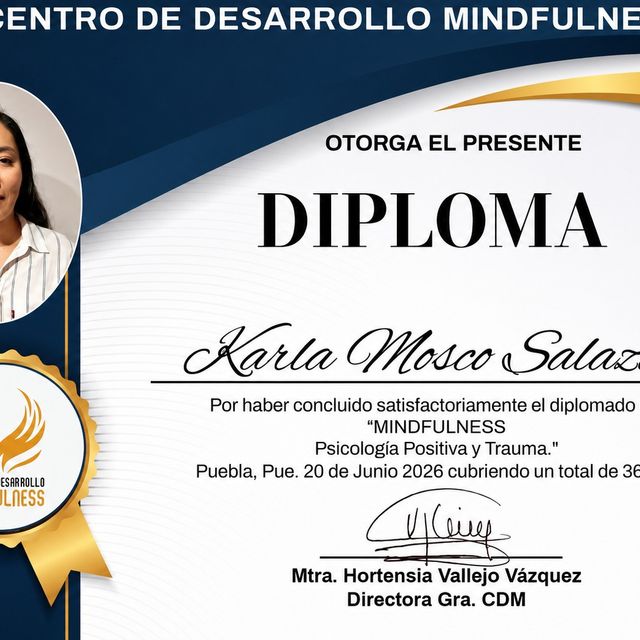 Ampliar imagen: certificate 15