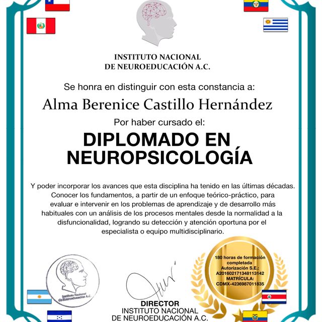 Ampliar imagen: certificate 1