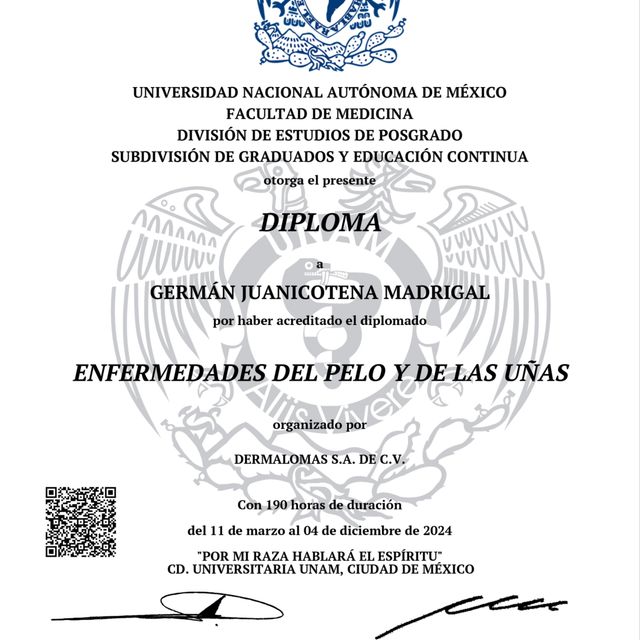 Ampliar imagen: certificate 2