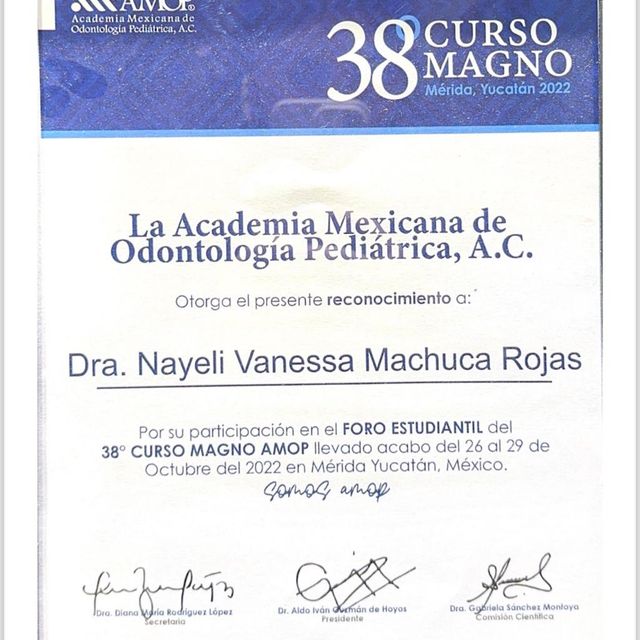 Ampliar imagen: certificate 1