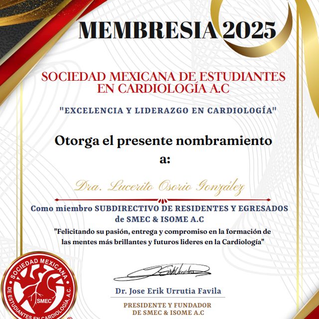 Ampliar imagen: certificate 11