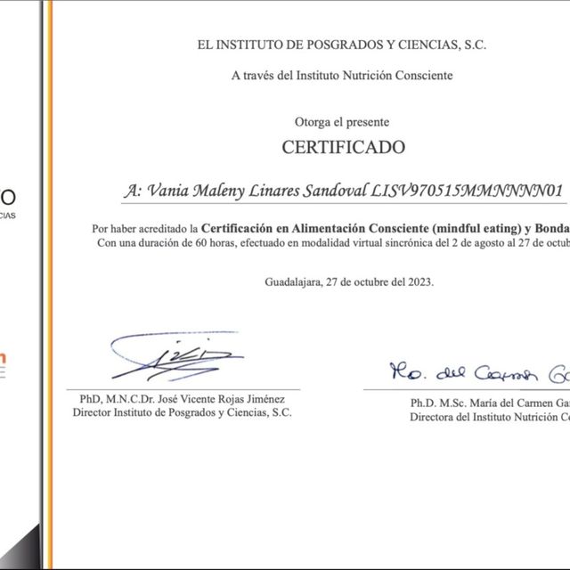 Ampliar imagen: certificate 1