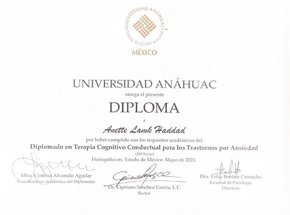 Ampliar imagen: certificate 2